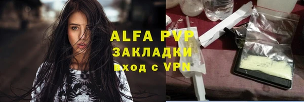 стаф Арсеньев