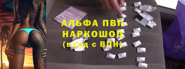стаф Арсеньев