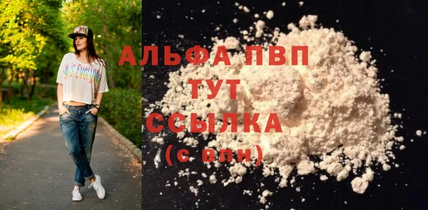 стаф Арсеньев