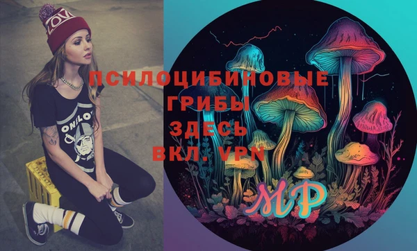 МДПВ Аркадак