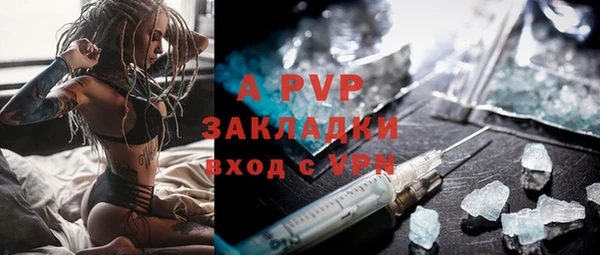 стаф Арсеньев