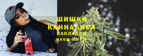 стаф Арсеньев