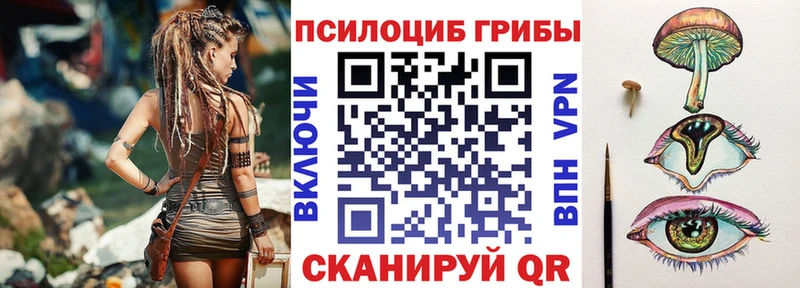 Псилоцибиновые грибы MAGIC MUSHROOMS  где продают наркотики  OMG онион  Краснослободск 